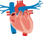 Prevent heart attack through blood pressure monitoring